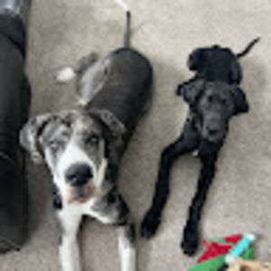 Meet your Posher, Logan